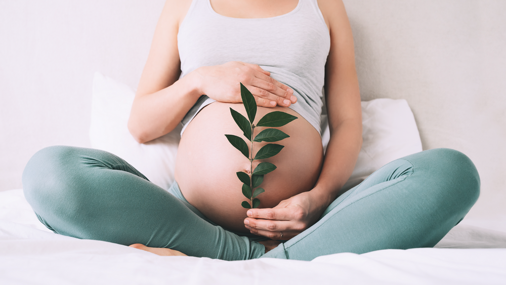Which Of Our Products Are Safe For Pregnancy And Breastfeeding?