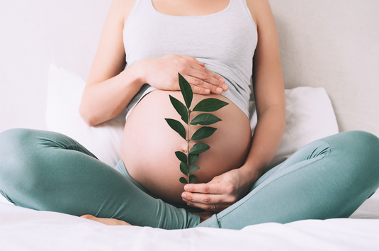Which Of Our Products Are Safe For Pregnancy And Breastfeeding?