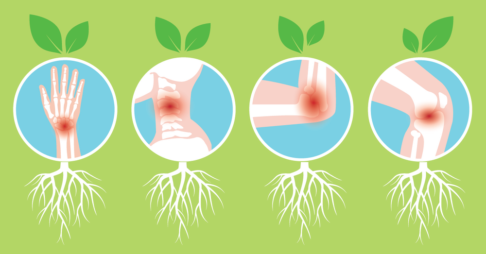 Healing Pain from the Inside Out