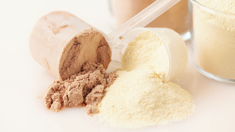 Whey Protein Isolate VS Whey Protein Concentrate: What is the difference?
