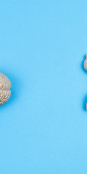 The Best Ways to Support a Healthy Gut-Brain Connection