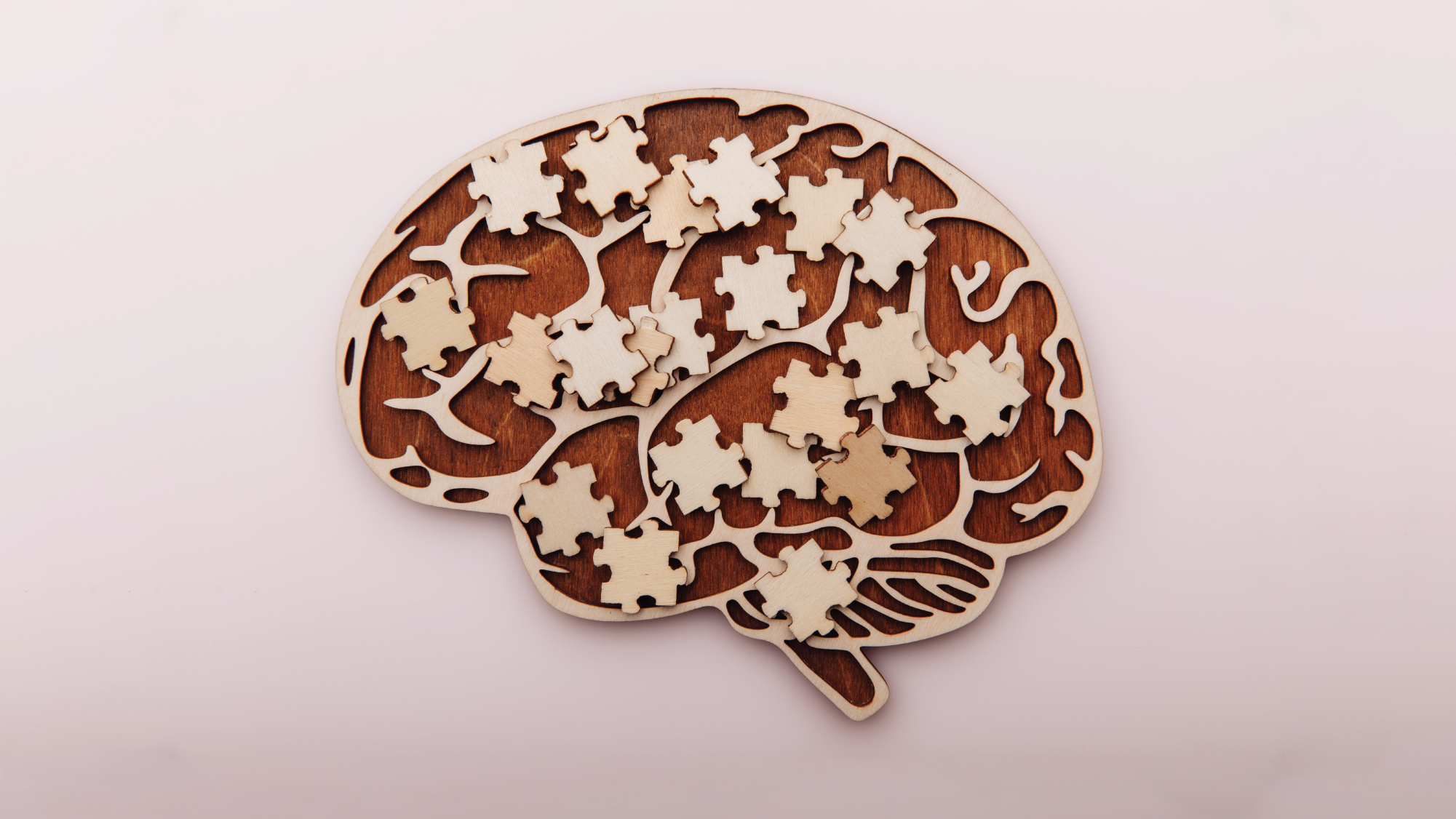Top 5 Tips to Support Memory