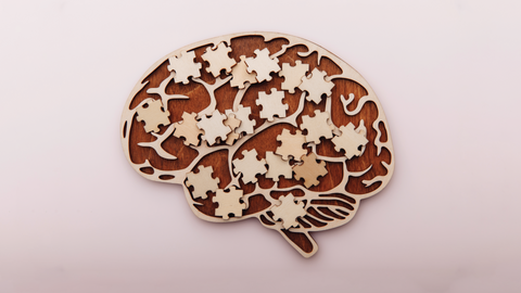 Top 5 Tips to Support Memory