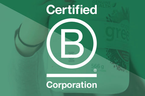 What is a B Corp?