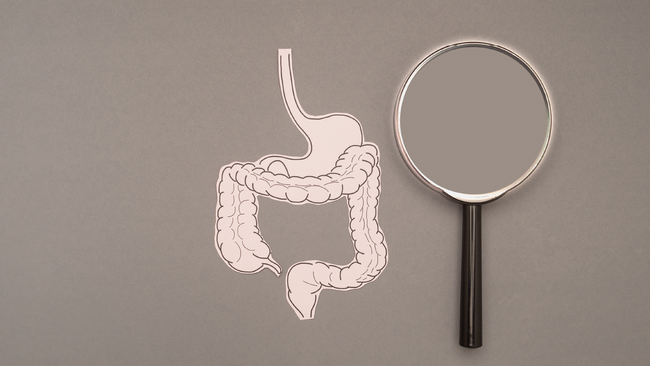 Symptoms & Consequences of a Leaky Gut