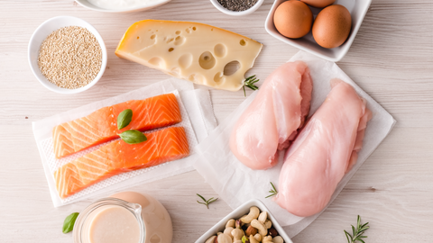 The Best Plant-Based & Animal Sources of Protein