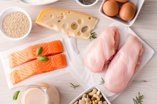 The Best Plant-Based & Animal Sources of Protein