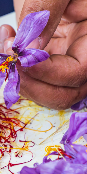 How Saffron Bridges the Gaps in Mental Health