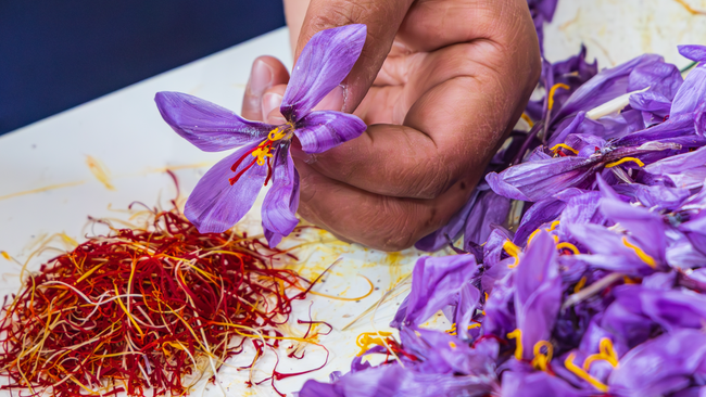 How Saffron Bridges the Gaps in Mental Health