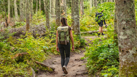 Benefits Of Polyphenols