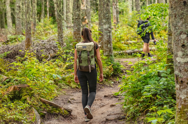 Benefits Of Polyphenols