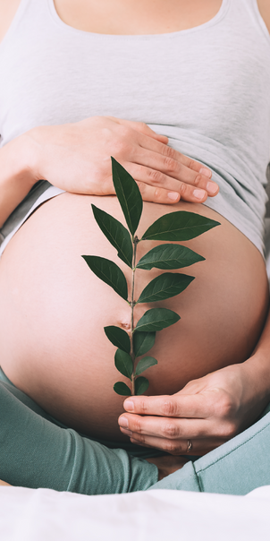 Which Of Our Products Are Safe For Pregnancy And Breastfeeding?