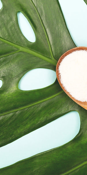 The Science Behind How Collagen Works