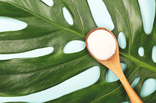 The Science Behind How Collagen Works