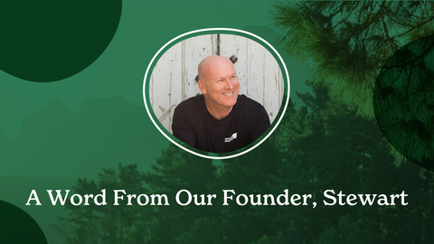 Supplements Everyone Needs to Thrive