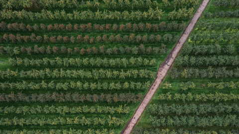 Today's Food and the Impact on Health