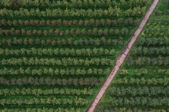 La nourriture d’aujourd’hui et l’impact sur la santé