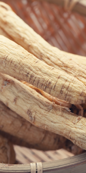 Don’t React – Adapt! Meet Nature’s Stress Management Team!