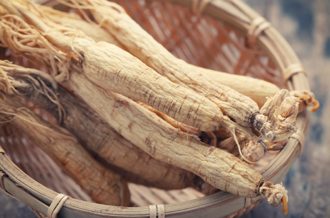 Don’t React – Adapt! Meet Nature’s Stress Management Team!