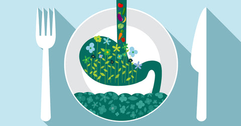 Green your Gut: How Phytonutrients Nourish your Gut Ecology