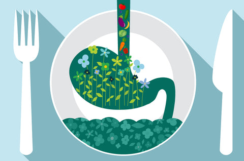 Green your Gut: How Phytonutrients Nourish your Gut Ecology