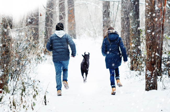 The Link Between Inflammation & Seasonal Affective Disorder