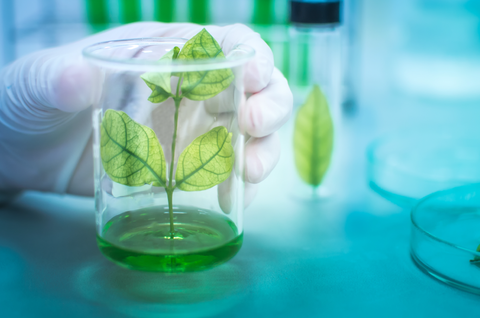 Taking the Testimonial to the Test-Tube: Natural Health Supplements and Research