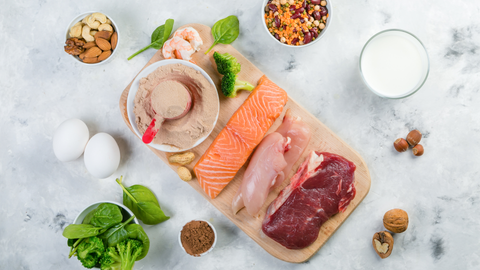 Protein: Why You Need It (and Where to Get It)